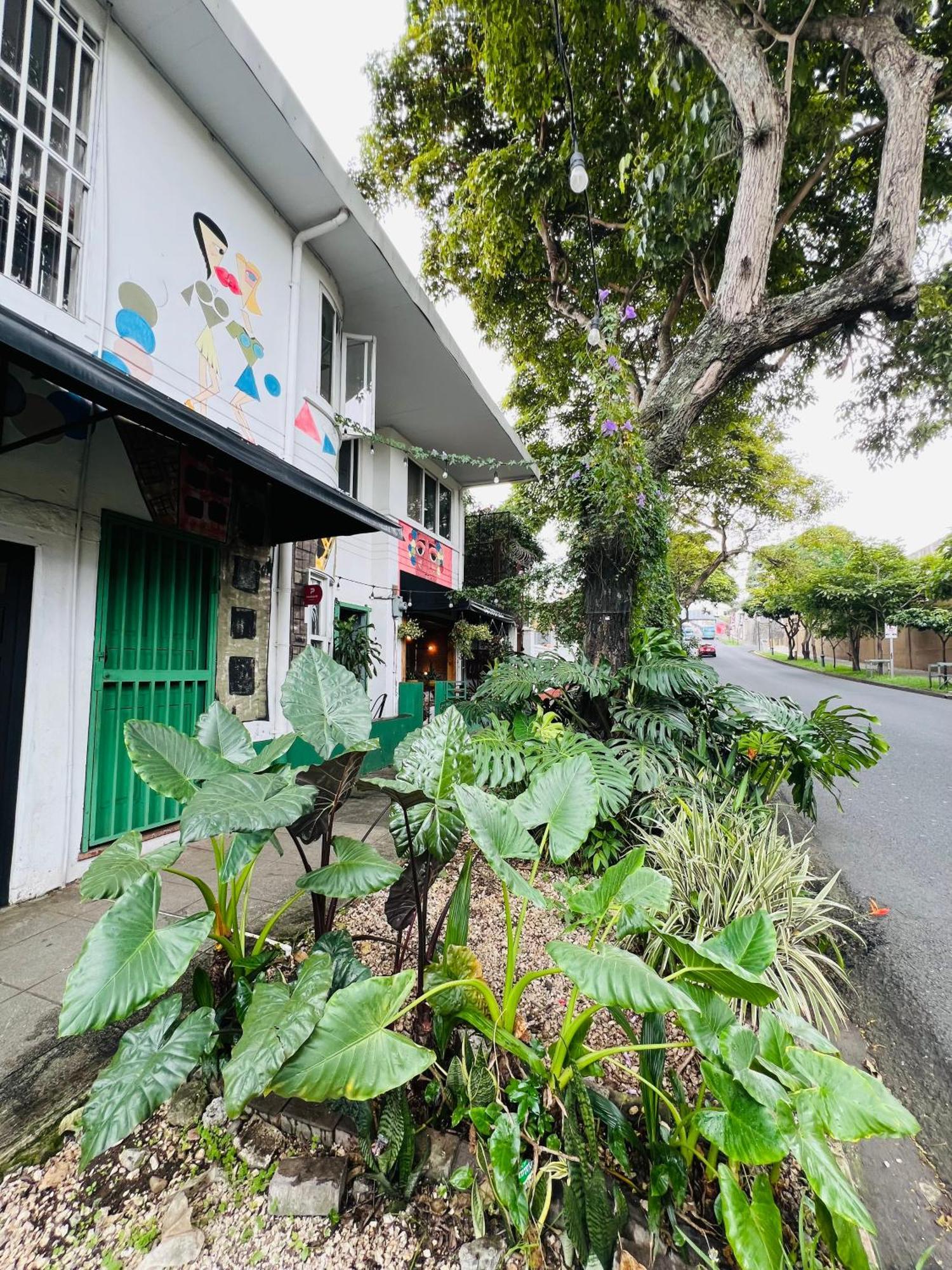 Otoya 1907 Hotel (Adults Only) San José Buitenkant foto