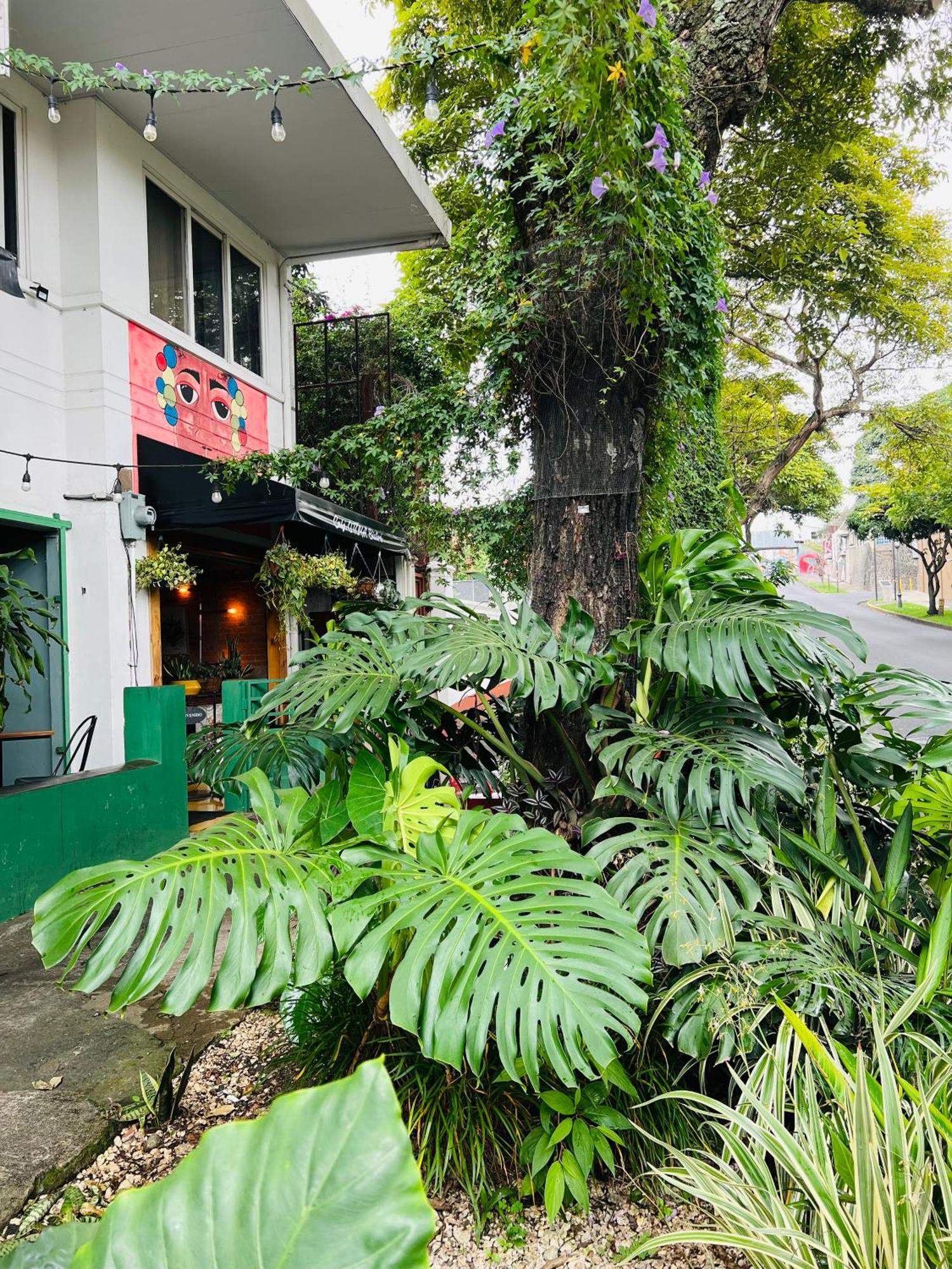 Otoya 1907 Hotel (Adults Only) San José Buitenkant foto